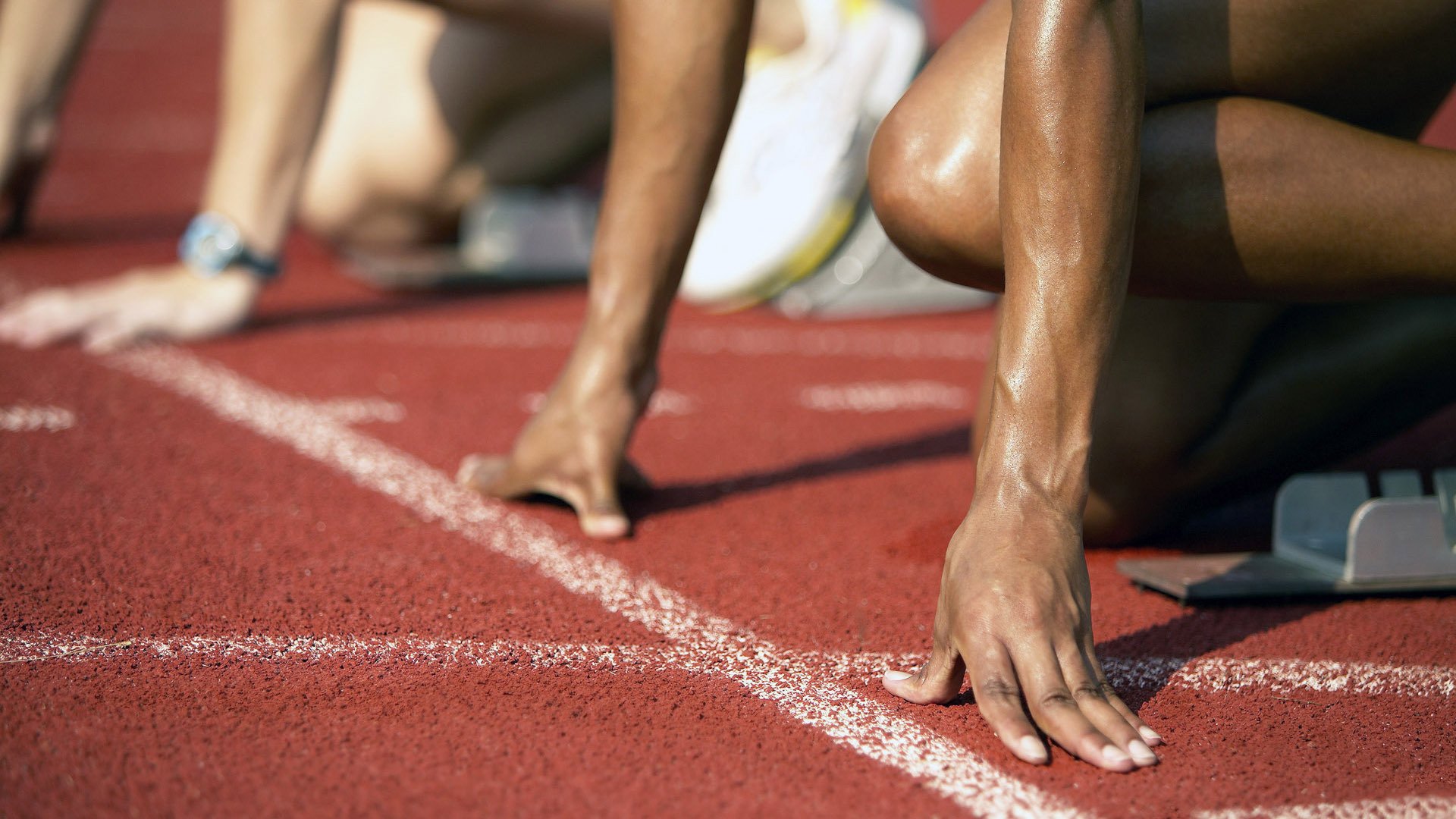 2026年世界游泳公开水域锦标赛海域测试顺利通过